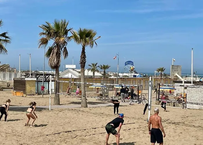 Elegant And Quiet In The Sea Area *