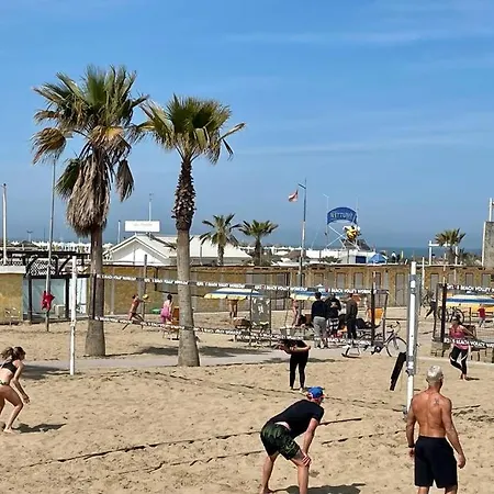 Elegant And Quiet In The Sea Area *